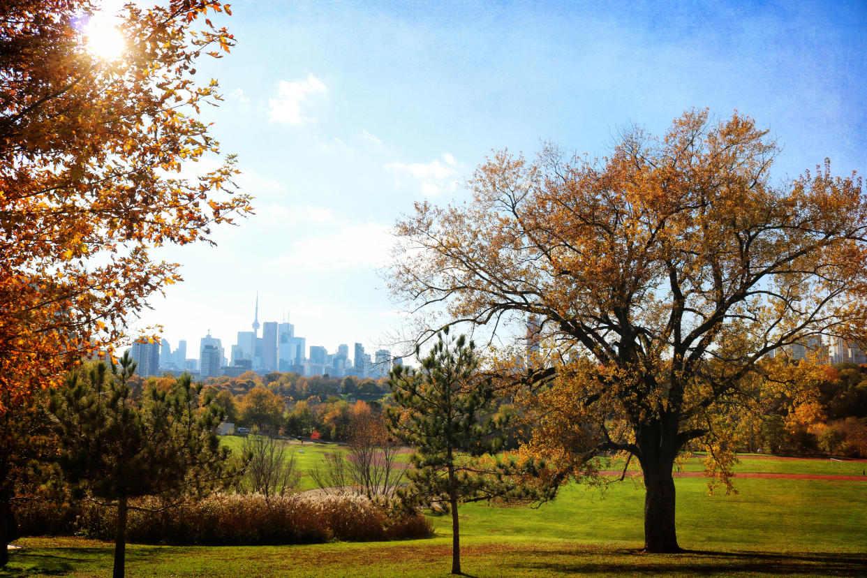 Chilly weather is heading to Toronto