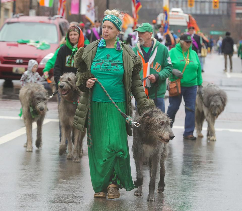 The Irish Wolfhounds of Northeast Ohio walk along Main Street during the St. Patrick's Day Parade in downtown Akron Saturday.