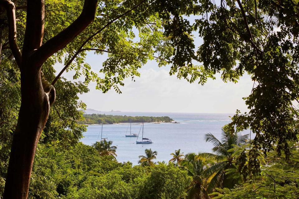 Mustique island in the Grenadines