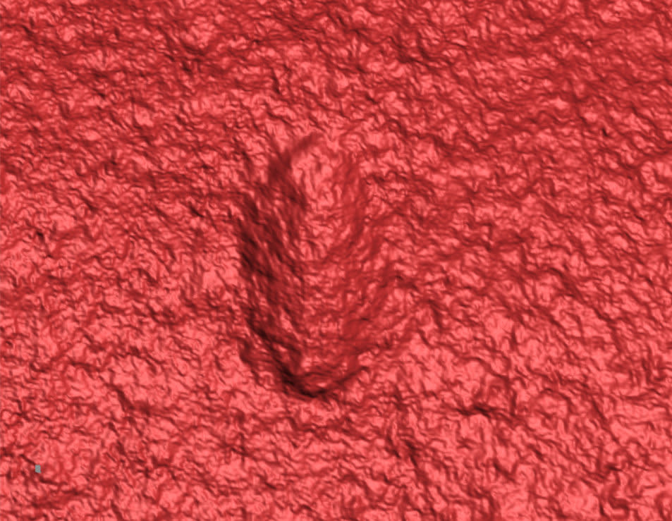 A 3D laser scan that showing the regular, consistent shape of a cylindrical body with a distinct head and tail and faintly grooved musculature (SWNS) 