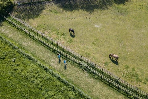 Playing fields, parkland and a city farm make up Mudchute Park today - Credit: GETTY