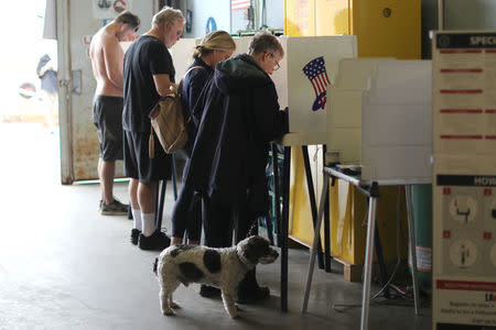 People vote in the primary election at a polling station in Venice, Los Angeles, California, U.S. June 5, 2018. REUTERS/Lucy Nicholson