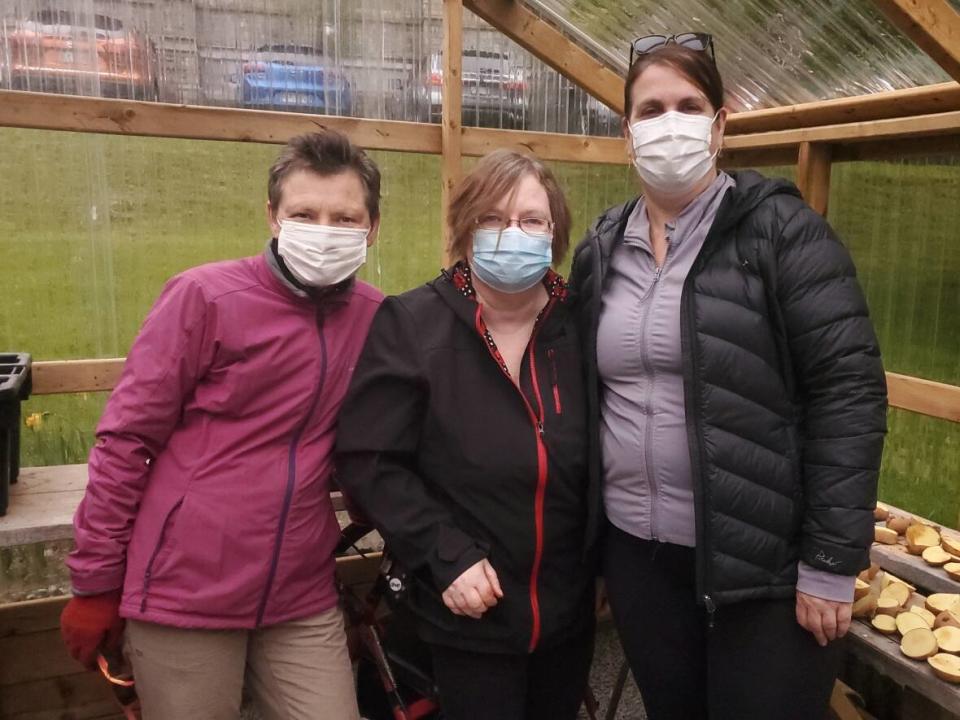 Brenda Halley, Jamie Hearn and Patricia Waddleton are pictured on a spring day in the Wellness Group's greenhouse. (Andrea McGuire/CBC - image credit)