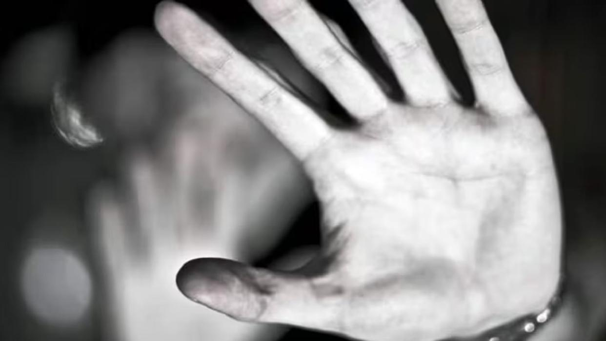 Windsor police say 646 people have been arrested and charged for domestic violence since the beginning of the year, while there have been another 600 intimate partner violence complaints where no one was arrested or charged. (Shutterstock - image credit)