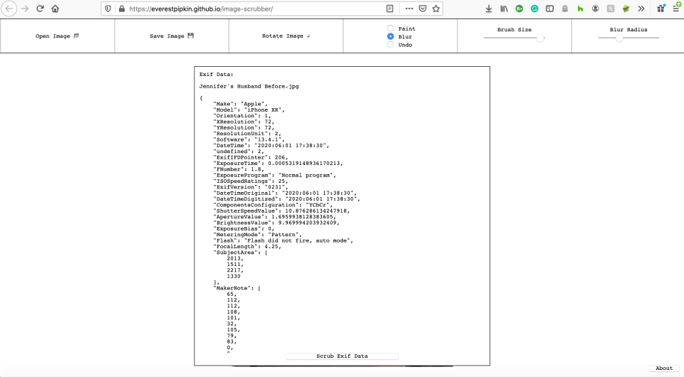 Using the Image Scrubber tool to remove metadata from the image.