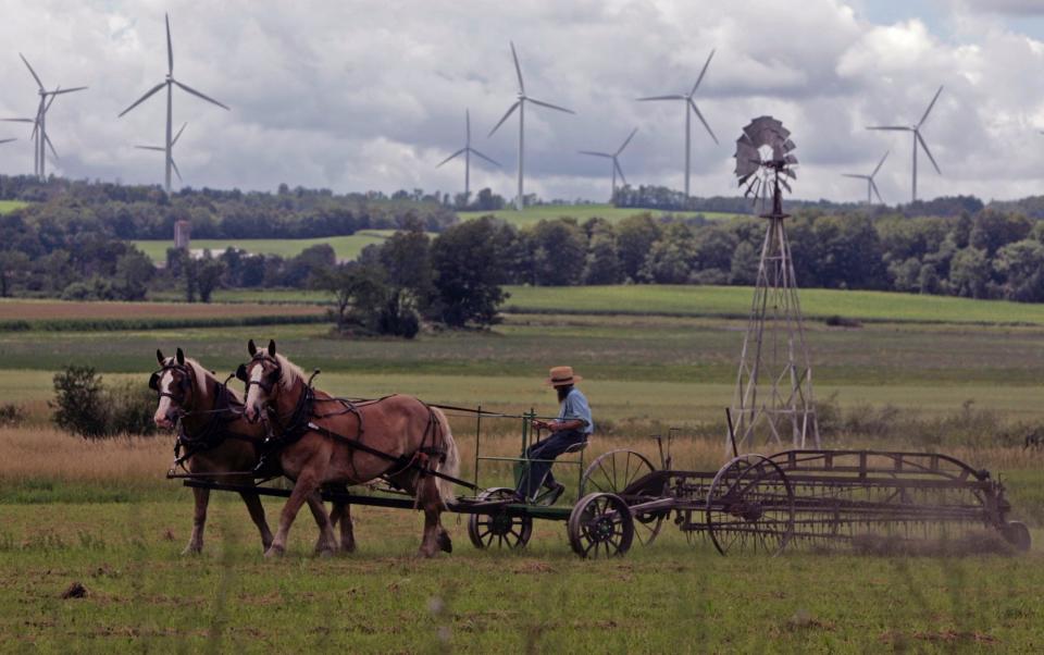 An Amish farmer rakes hay as wind turbines from the Maple Ridge Wind Farm work in the distance in Lowville, N.Y., Monday, Aug. 4, 2008.
