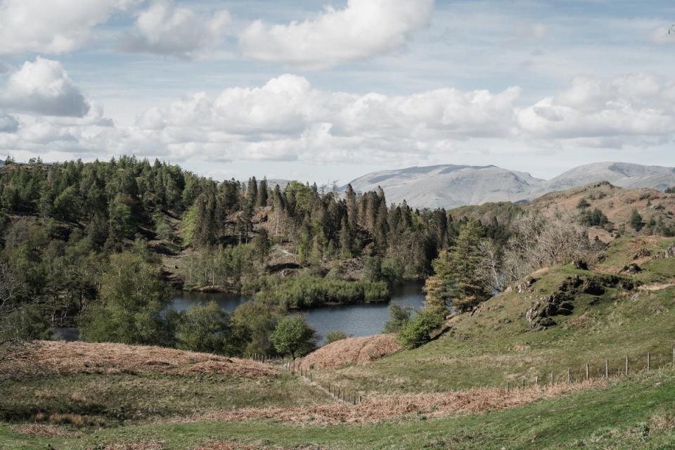 Tarn Howes Loop in the Lake District (The Travel Project)