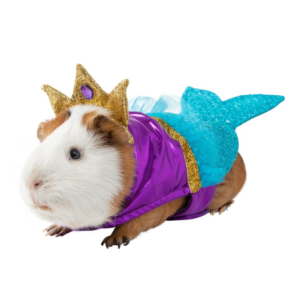 Thrills & Chills™ Guinea Pig Mermaid Halloween Costume 