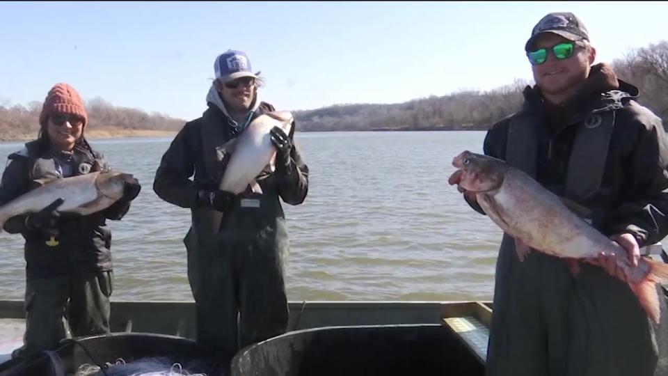 <em>27 News accompanied KDWP biologists in 2023 on a trip on the Kansas River to get an up close look at how invasive carp are removed from the water. </em>