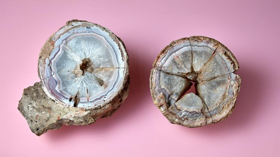 Two halves of the titanosaur egg filled with an agate crystal.