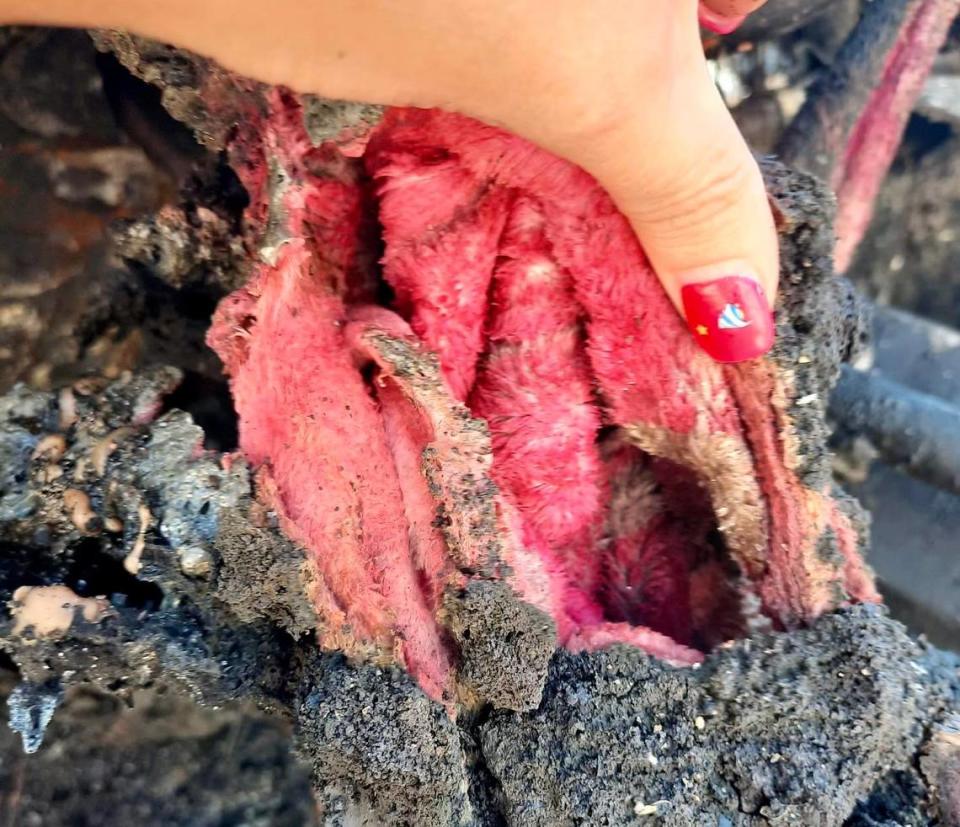 A family member captures the moment Alyssa Taylor’s pink blanket is pulled from the wreckage of a tractor-trailer truck being stored in Orange County, NC. The driver of the truck died in the Sept. 14 wreck. Taylor is now suspected of also being in that truck.