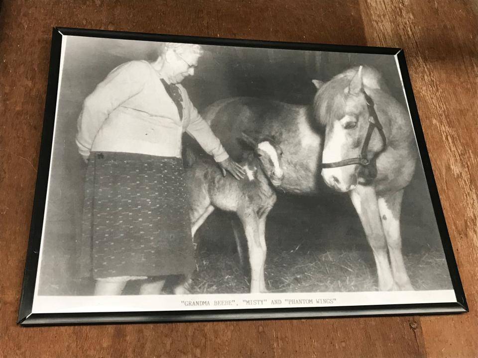 Family memorabilia at the Beebe Ranch includes black and white photos from the Misty era. In this shot, Ida "Grandma" Beebe stands with Misty and her first foal, Phantom Wings.