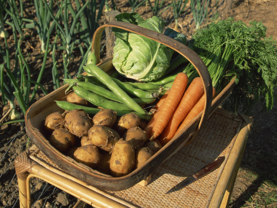 Einer neuen Studie zufolge muss es offenbar kein Superfood sein. (Bild-Copyright: roberthardin_/Michael/ddp Images)