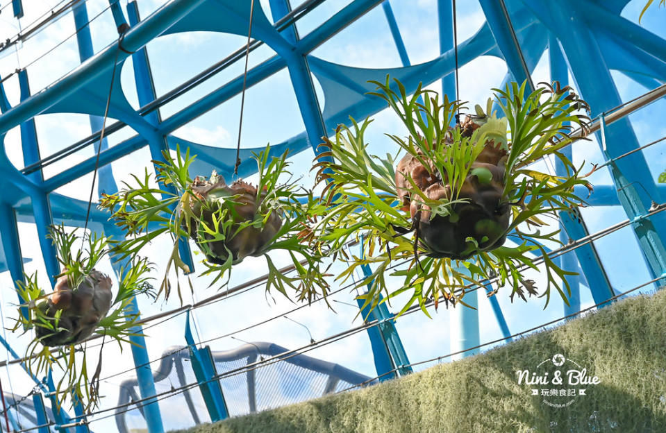 台中｜國立自然科學博物館植物園