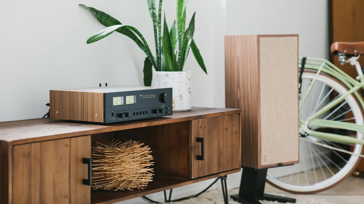  NAD C 3050 amp on console with speaker and plant 