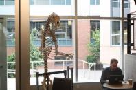 <p><strong>When eBay launched onto the scene, Amazon tried to build its own auction site to compete.</strong><br>The idea flopped, but Bezos himself loved it.<br>He purchased a $40,000 skeleton of an Ice Age cave bear and displayed it in the lobby of the company’s headquarters. Next to it was a sign that read “Please Don’t Feed The Bear.” It’s still there today. </p>