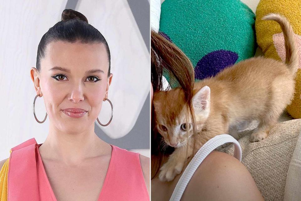 <p>Pascal Le Segretain/Getty; Millie Bobby Brown/Instagram</p> Millie Bobby Brown and kitten