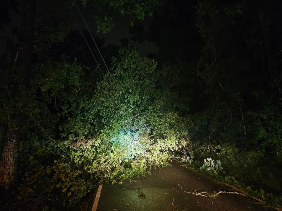 A downed tree in St. Tammany Parish following severe weather on Thursday, May 16, 2024. (Courtesy: St. Tammany Parish)