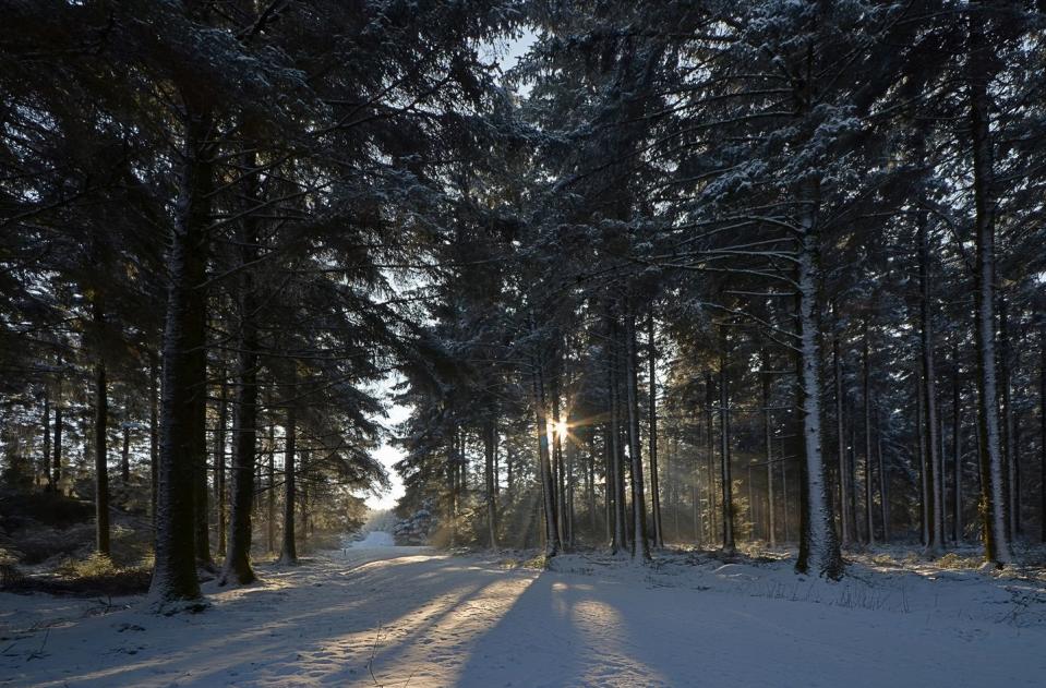 <p>Lustleigh is a small village situated in the Wrey Valley, Dartmoor National Park. Here you will find thatched cottages and frosty forest walks. Dreamy!</p>