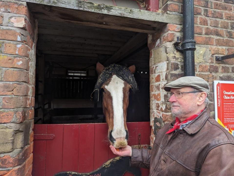 Northwich Guardian: Dave Thomas' love of heavy horses goes back to the 1950s