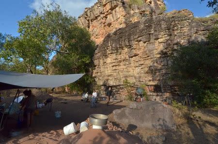 A supplied image showing excavations at the Madjedbebe site located in the Kakadu region in northern Australia June 29, 2015 which has revelead that humans reached the country at least 65,000 years ago - up to 18,000 years earlier than archaeologists previously thought. Dominic O'Brien-Gundjeihmi Aboriginal Corporation/Handout via REUTERS