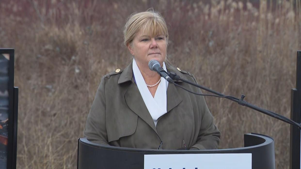 Whitby Mayor Elizabeth Roy called for the Ontario government to take steps to build a new hospital in Durham Region. (CBC - image credit)