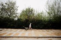 A worker walks at a cemetery where a special centre that prepares bodies of Jews who died from the coronavirus disease (COVID-19) is located in Tel Aviv