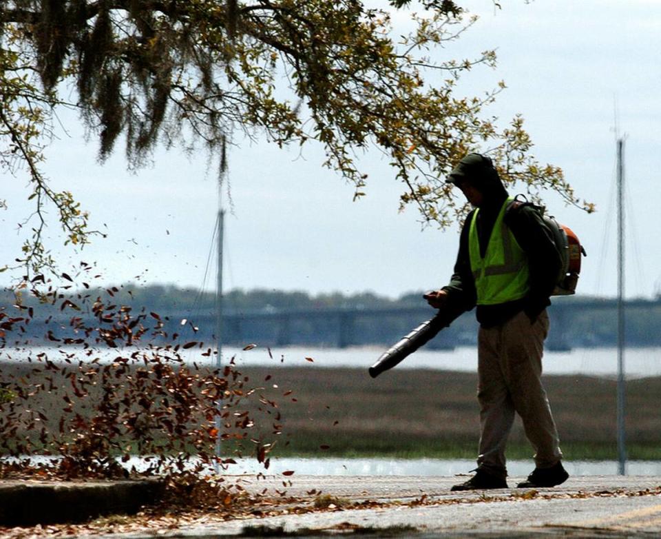 Should Raleigh restrict gas-powered leaf blowers?