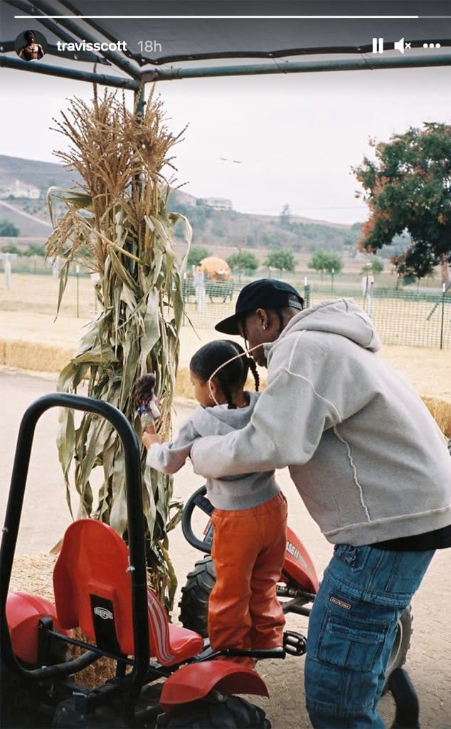 Pumpkin Patch