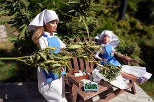 Miniature Weed Nuns Trimming the Hemp Plants