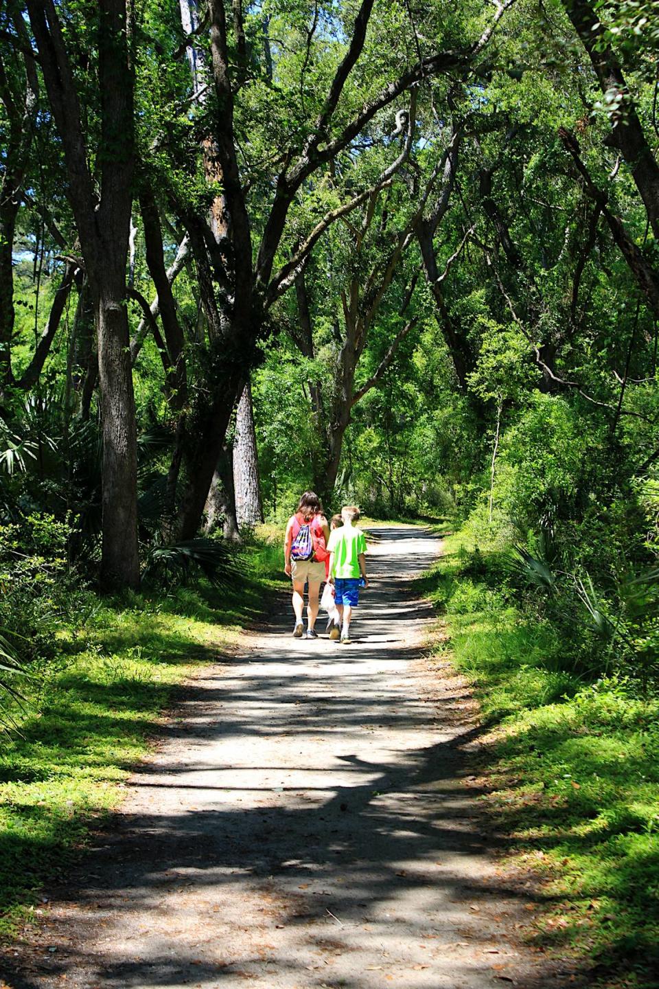 A walk in the woods: Edisto Beach State Park has nearly five miles of trails that provide easy walking along sandy paths beneath a canopy filled with songbirds and sunlight.