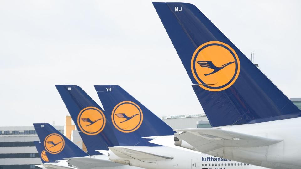 Lufthansa-Maschinen mit dem Kranich-Logo stehen am Frankfurter Flughafen.