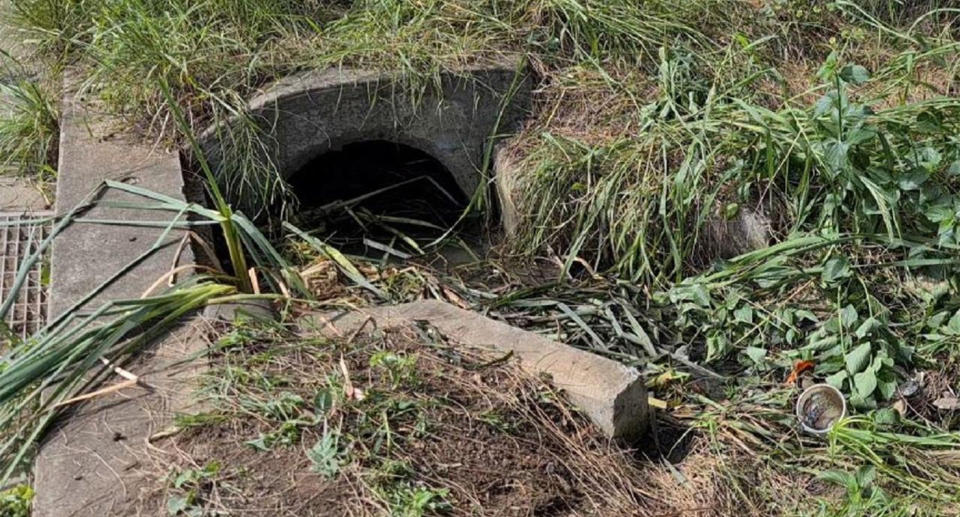 A drain in Albion Park Rail where missing man Brian Adamson was found.