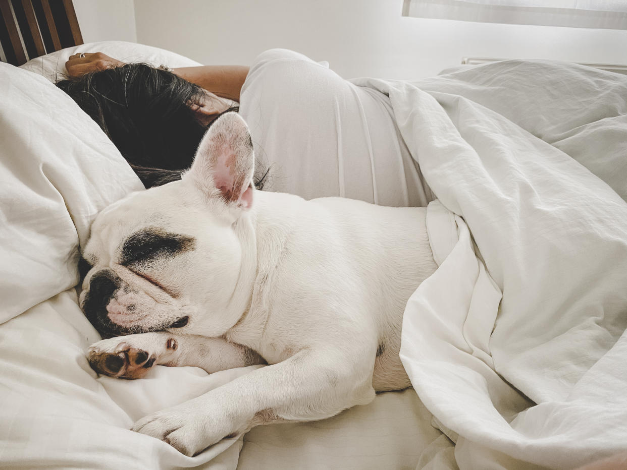 Sleeping with your pet dog can be harmful unless you take certain precautions. (Getty Images)