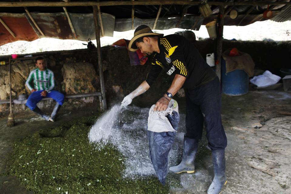 Colombia cocaine production