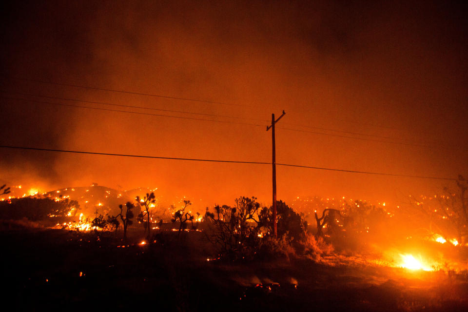 El incendio "Bobcat" destruye árboles y vegetación en Juniper Hills, California, el viernes 18 de septiembre de 2020. (AP Foto/Ringo H.W. Chiu)