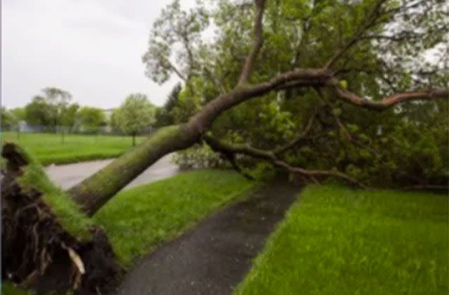 The The Bureau of Meteorology has isssued a severe weather warning for parts of NSW. Picture: 7 News