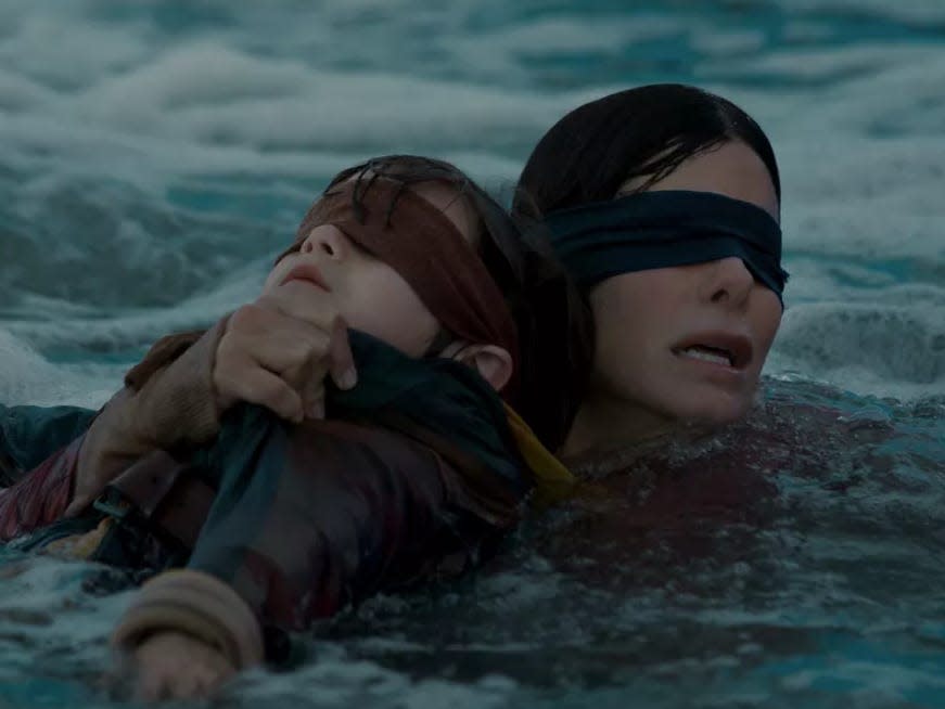 bird box