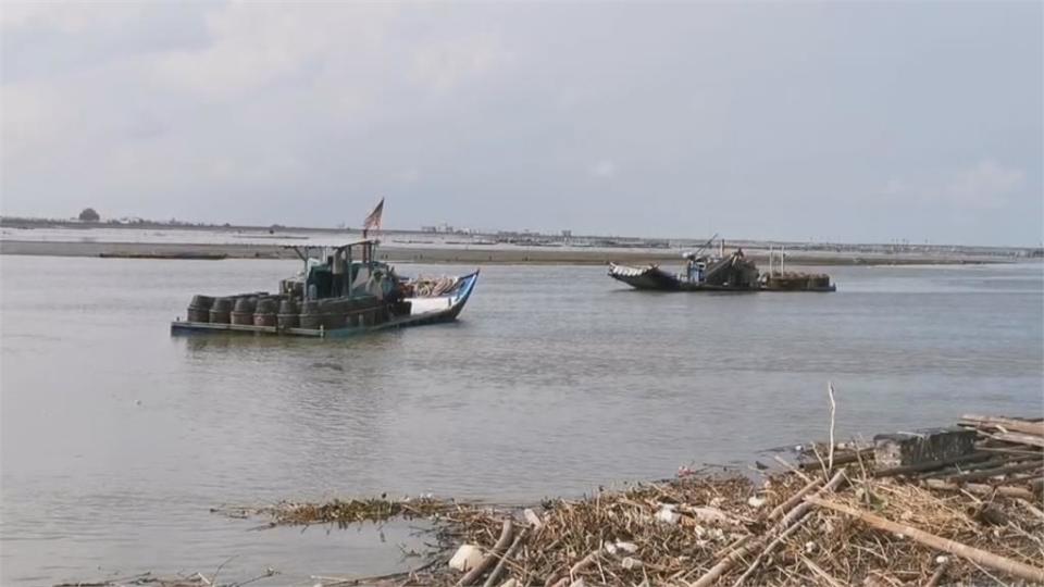 上次西南氣流已經沖走一大半！　颱風進逼東石蚵農急搶收