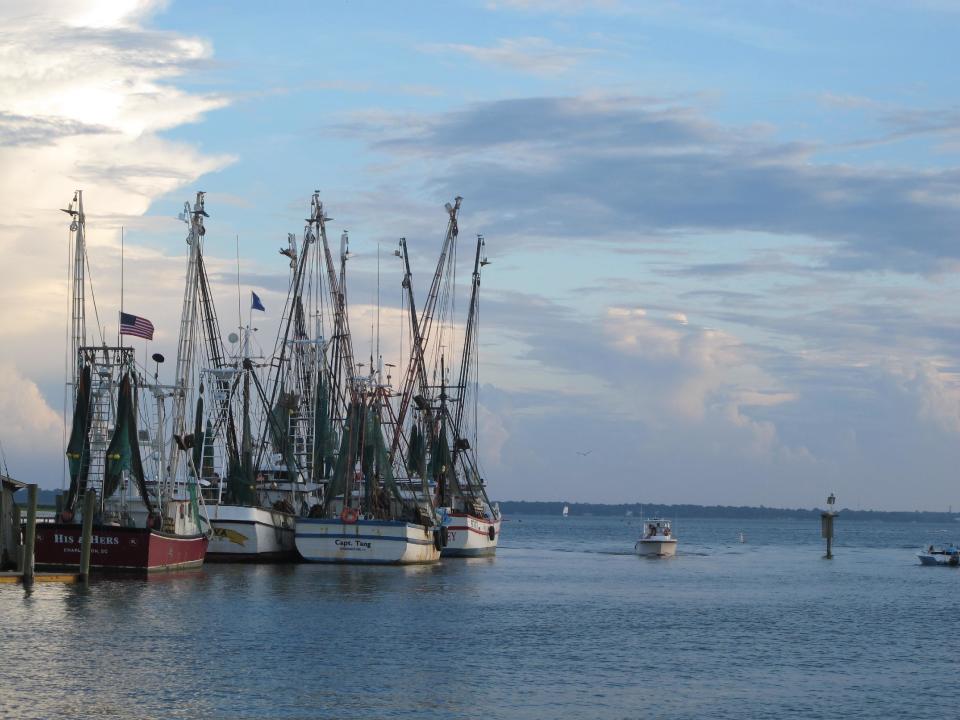 Shrimp boats sit at dock in Mount Pleasant, S.C., in this August 18, 2013, photograph. Lawmakers in both state legislatures and in Washington, D.C., have been considering bills that would help to ensure more accurate labeling of seafood. (AP Photo/Bruce Smith)