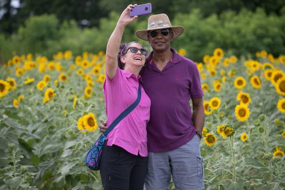 A 2019 file photo shows Debra and Calvin Walker of Wake Forest, N.C. celebrating their anniversary with a selfie in the sunflower field at Dix Park in Raleigh, N.C.