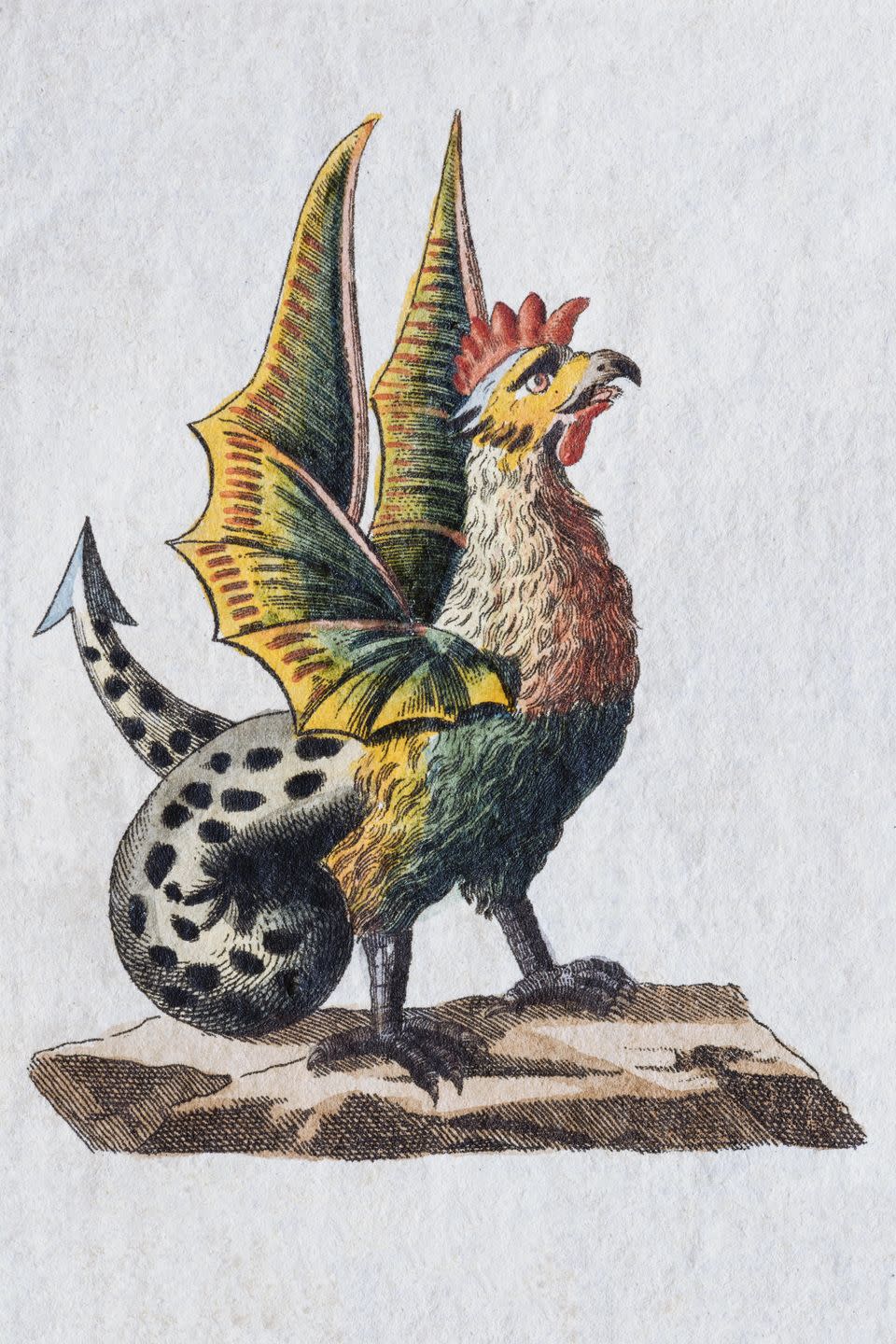 basilisk, hand colored copper engraving from childrens picture book by friedrich justin bertuch, weimar, 1792