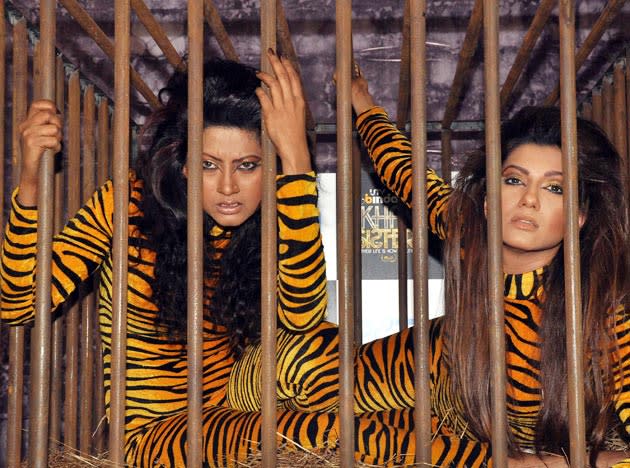 Indian former models actress Nigaar Khan (L) and Gauahar Khan (R) sisters pose in tiger suits during a photo shoot to protest against zoos for People for the Ethical Treatment of Animals (PETA) in Mumbai on December 6, 2011. AFP PHOTO/STR