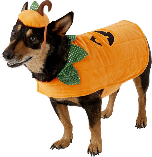pumpkin dog Halloween costume