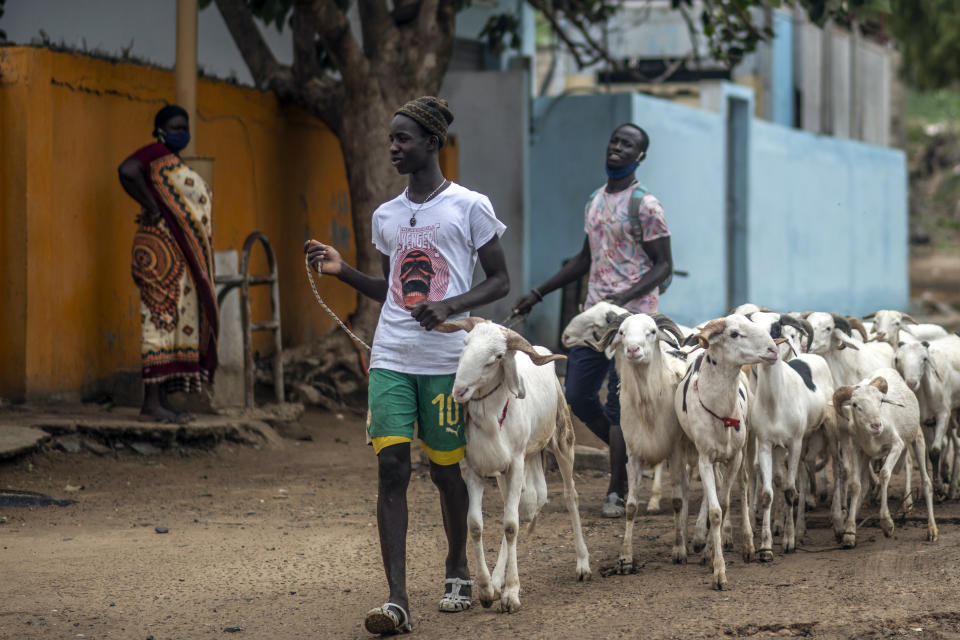 Livestock sellers bring their sheep to be washed on the beach before they are offered for sale for the upcoming Islamic holiday of Eid al-Adha, on the beach in Dakar, Senegal Thursday, July 30, 2020. Even in the best of times, many Muslims in West Africa scramble to afford a sheep to slaughter on the Eid al-Adha holiday, a display of faith that often costs as much as a month's income, and now the coronavirus is wreaking havoc on people's budgets putting an important religious tradition beyond financial reach. (AP Photo/Sylvain Cherkaoui)