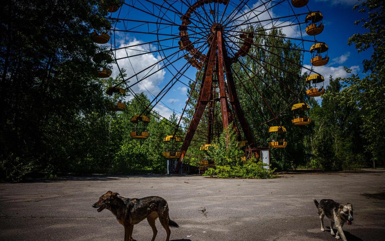 ‘One day, the entire bottom of the periodic table will submit the bill’: the ghost town of Pripyat - Dimitar DILKOFF / AFP