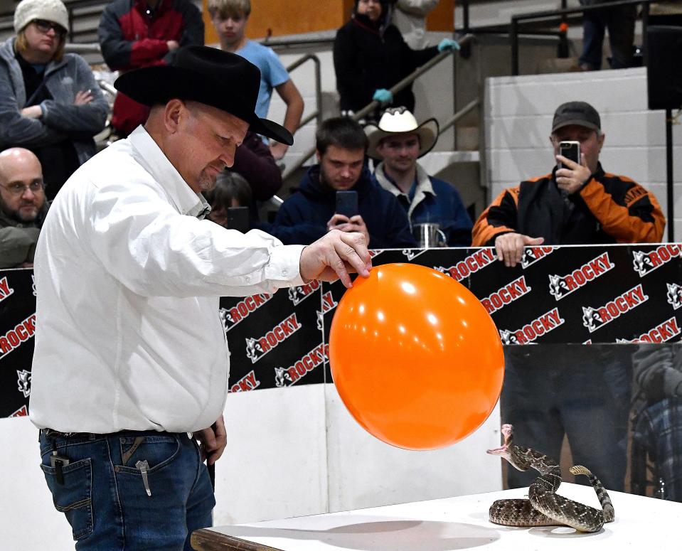 Scott Cagle holds a balloon as a western diamondback rattlesnake strikes it during an educational program Friday.