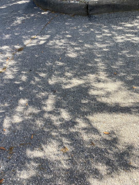 Tiny crescents cover the ground during the partial solar eclipse in Portsmouth, Va. on April 8, 2024. (Photo courtesy: Jane Alvarez-Wertz)