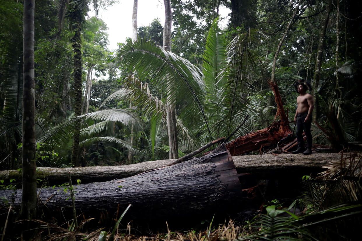 An indigenous man called Tebu, of Uru-eu-wau-wau tribe, looks on in an area deforested by invaders in the village of Alto Jaru, at the Uru-eu-wau-wau Indigenous Reservation near Campo Novo de Rondonia, Brazil, on Feb. 1, 2019.