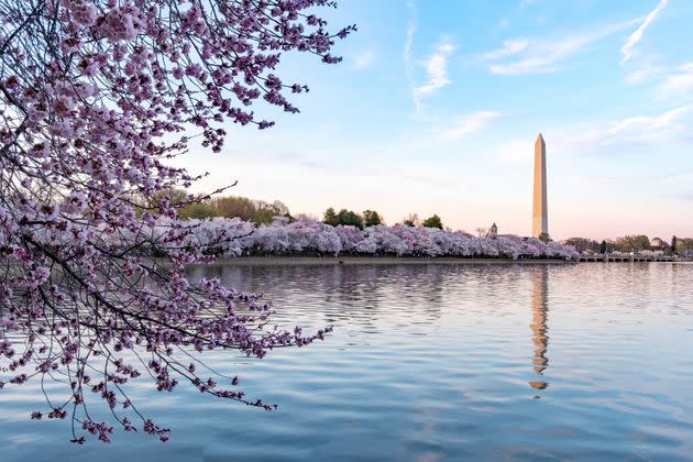 There's lots to explore in D.C. if you build your itinerary correctly. (Photo: jimfeng via Getty Images)